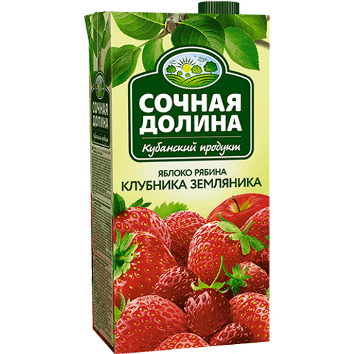 Напиток сокосодержащий Сочная Долина Яблоко-рябина-клубника-земляника, 1,93л