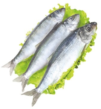 Сельдь мороженая