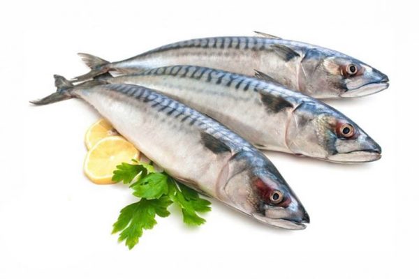 Скумбрия мороженная
