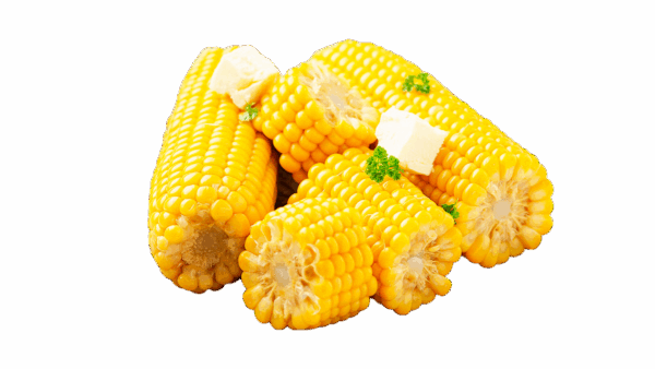 Кукуруза отварная